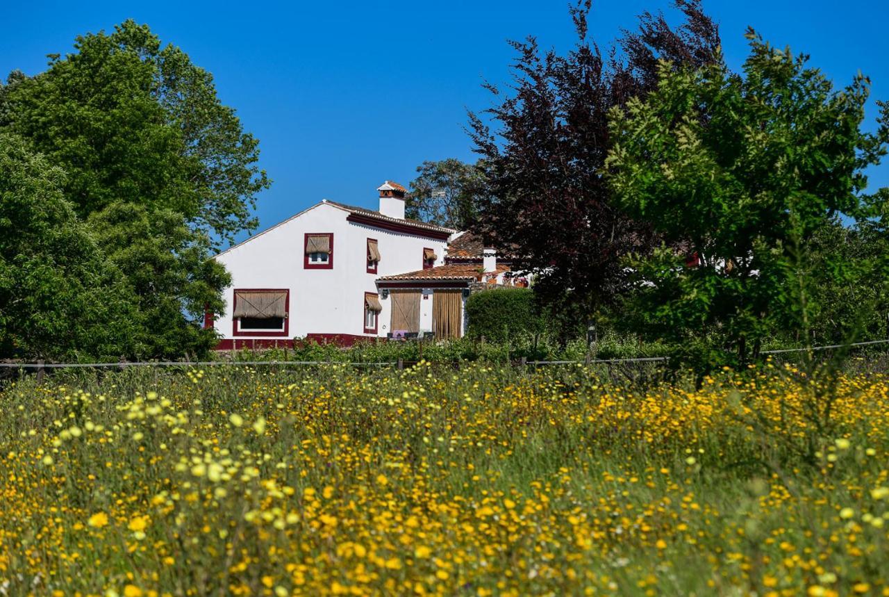 Quinta Da Dourada Hotell Portalegre Exteriör bild